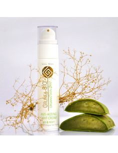 Tages und Nachtcreme Giilinea Bio 2